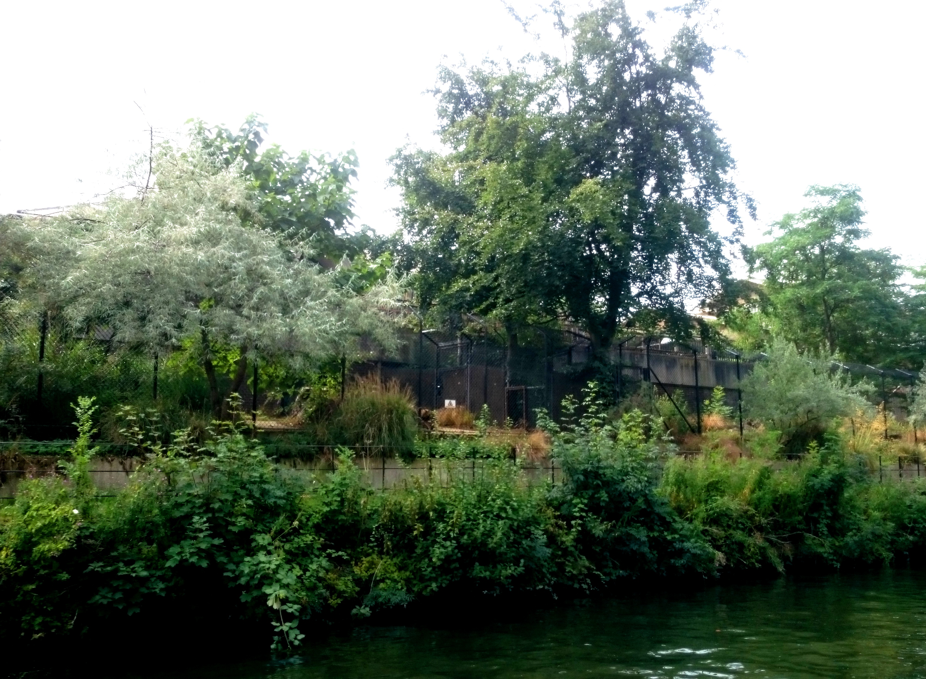 Regents Canal - London Zoo